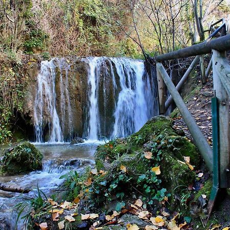 Alojamiento Rural Fuente De La Glorieta 卡索拉 外观 照片