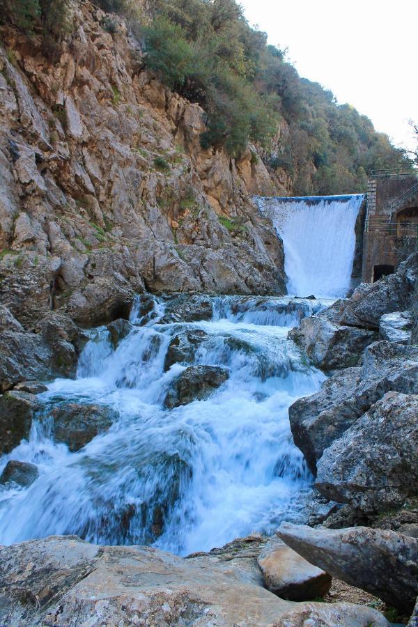 Alojamiento Rural Fuente De La Glorieta 卡索拉 外观 照片