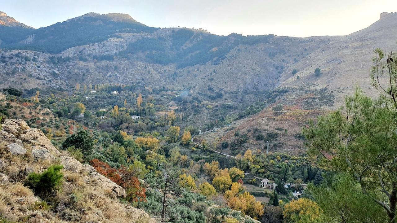 Alojamiento Rural Fuente De La Glorieta 卡索拉 外观 照片