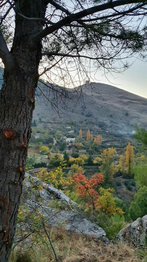 Alojamiento Rural Fuente De La Glorieta 卡索拉 外观 照片